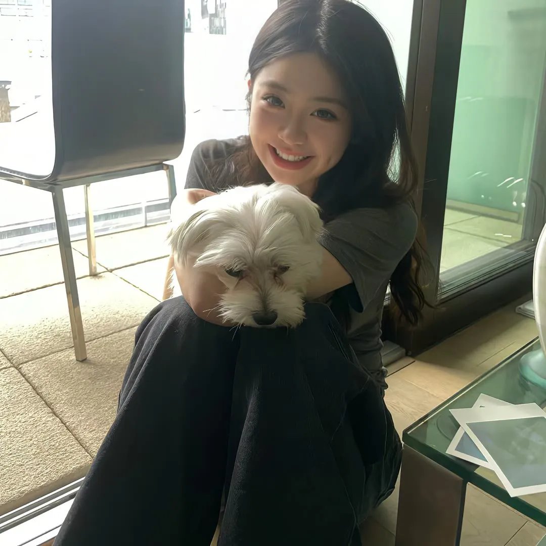 完美的独裁国家