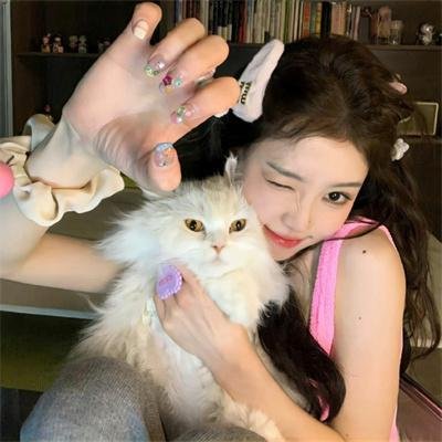 猛龙战警